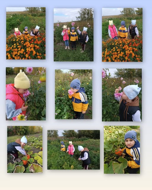 Экскурсия на пришкольный участок "Что нам осень подарила?".